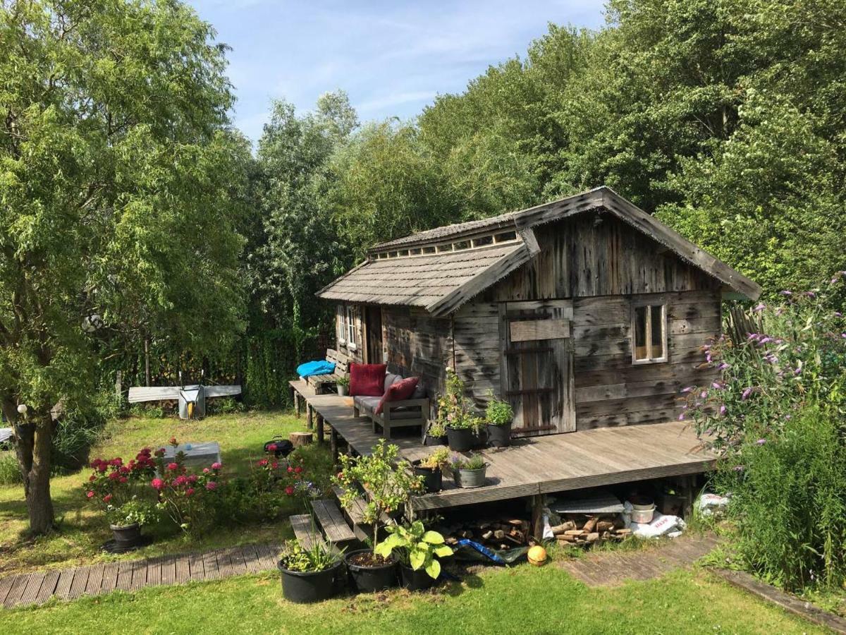 Cabin In The Green - Near Amsterdam เวลเซน-เซิด ภายนอก รูปภาพ